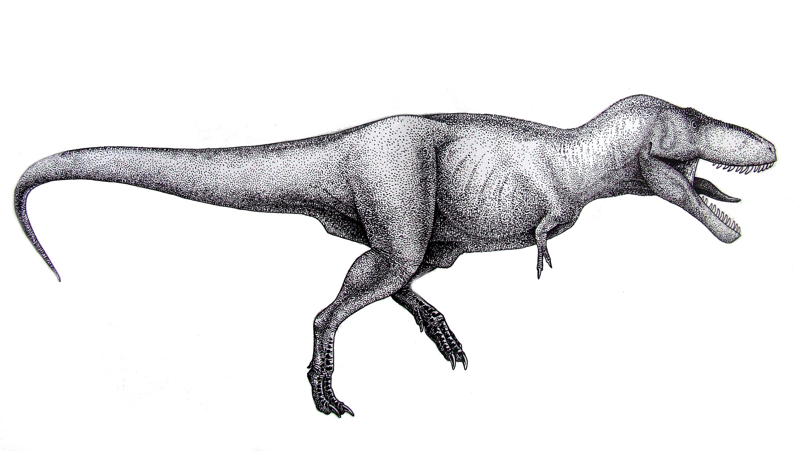 Tyrannosaurus Rex Information and Gallery.